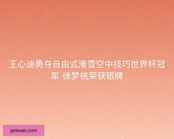 王心迪勇夺自由式滑雪空中技巧世界杯冠军 徐梦桃荣获银牌