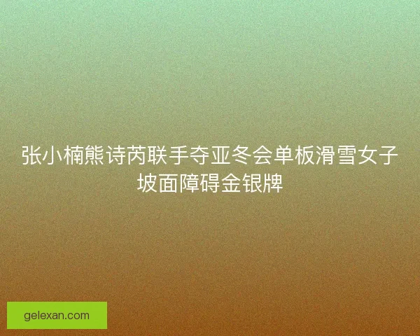 张小楠熊诗芮联手夺亚冬会单板滑雪女子坡面障碍金银牌