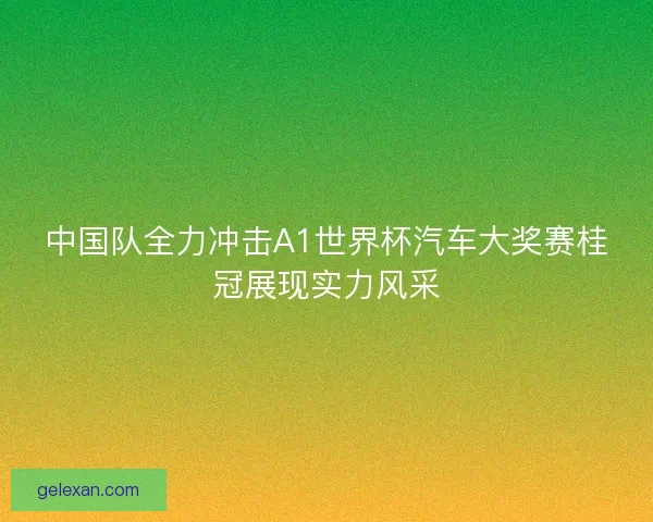 中国队全力冲击A1世界杯汽车大奖赛桂冠展现实力风采